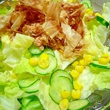 グリーンサラダ★サラダ菜レタス